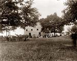 Negro Church