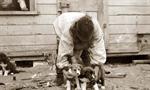 Boy with Alaskan Puppies
