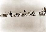 Reindeer Sleighs