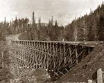 Train Trestle