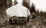 Dog team pulling railroad
