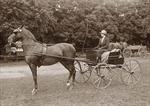 Carriage