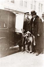 Chimpanzee in clothing at