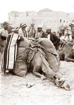 Grain Vender, Market, Jerusalem