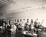 Women Office Workers