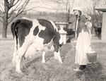 Dutch Milk Maid