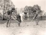 Women Gardening