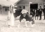 Milk Maid
