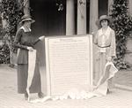 Woman Suffrage. Resolution