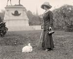 Woman With Pet Rabbit