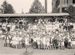 Boy Scouts. Field
