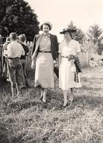 Maine Dewith