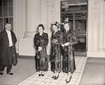 Hogg Sisters