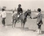 Child on Horse