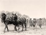Women Plowing