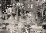 Hay Ride