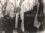 Woman Suffrage. Bonfire