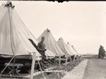 Army Tents