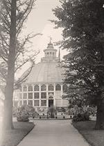 Botanical Gardens