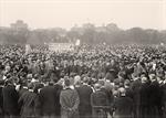 Crowds