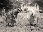 Learning to Garden