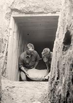 Soldiers Working in Trenches