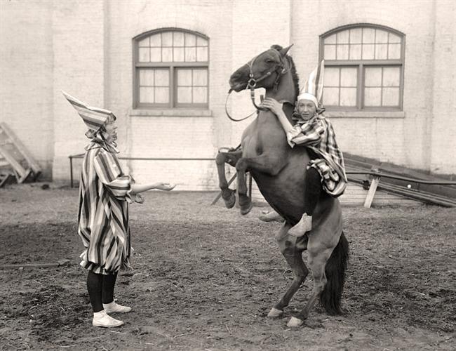 Clowns and Horse