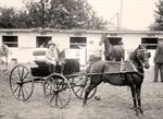 Child in Carriage