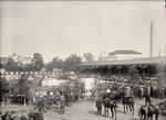 Horse Shows. General