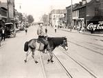 Boy Riding Pony