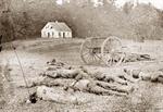 Antietam Dead