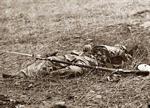Blown Up Soldier