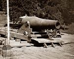 Cannon