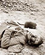 Civil War Dead