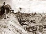 Antietam, Maryland  Confederate Dead