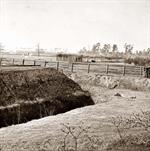 Mass Grave