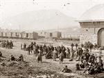 Prisoner Train