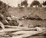 Civil War Dead Soldiers