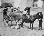 Child Riding a Pony