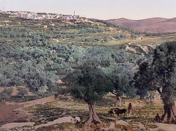 Samaria