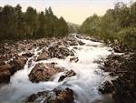 The Feugh at Banchory, Banchory, Scotland