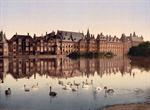 Wyver, Hague, Holland