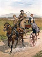 Irish Jaunting Car