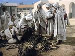 Market, Biskra, Algeria