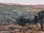 Samaria