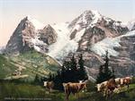 Wengern, Monch and Eiger, Bernese Oberland, Switzerland