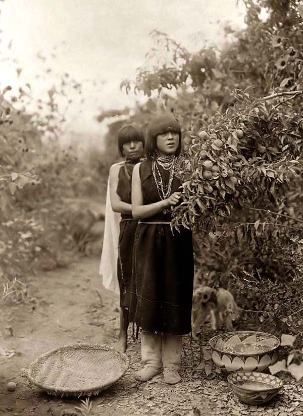 Fruit Gatherers