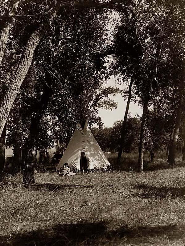Tepee in a grove of trees.
