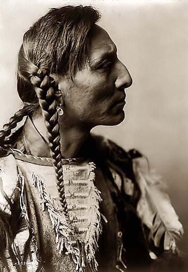 Picture of the Profile of an Indian