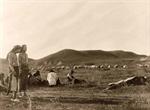 Cheyenne Sun Dance